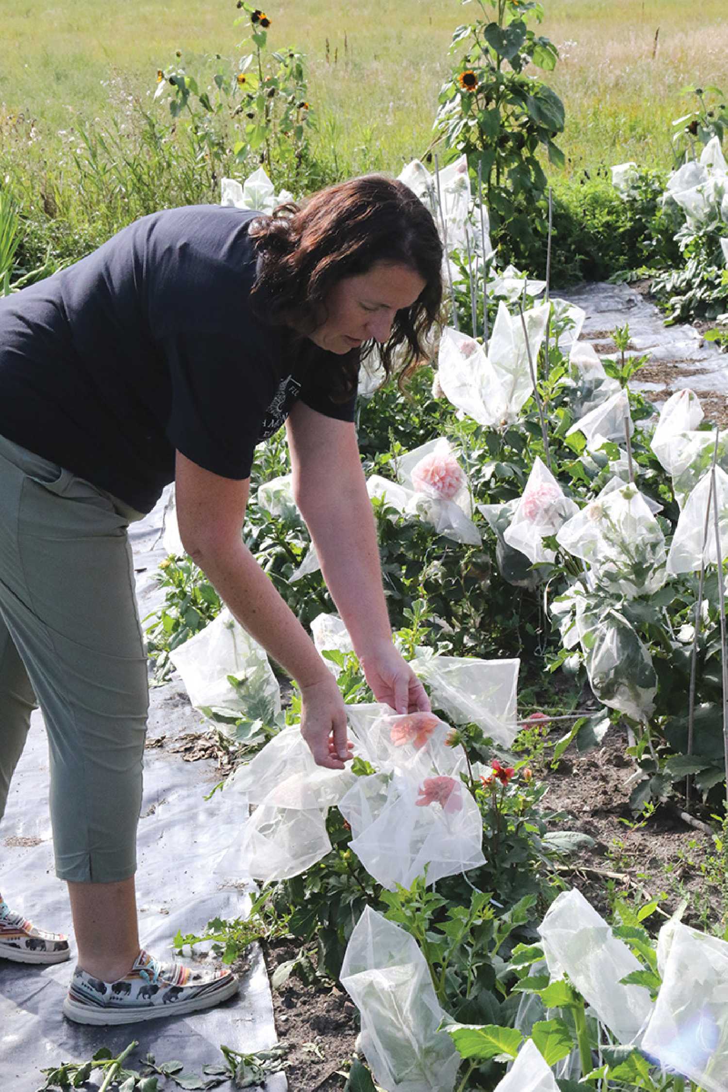 Lynette Bock, the owner of Half Diamond Flower Farm, and some of the variety of flowers on her farm.